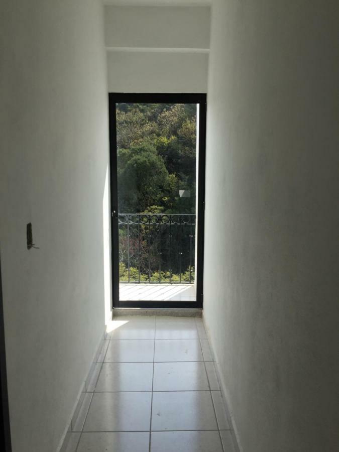 Hotel Boutique Arbol De La Vida 塔斯科·德·阿拉尔孔 外观 照片